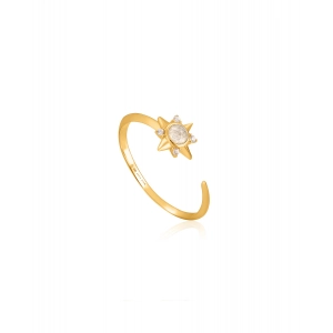 ANILLO DE MUJER ANIA HAIE R026-03G