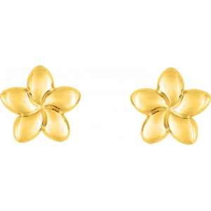 Pendientes par 9Kt Oro Amarillo 0M1938