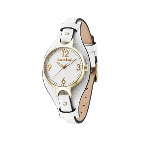 RELOJ ANALOGICO DE MUJER TIMBERLAND 14203LSG-01