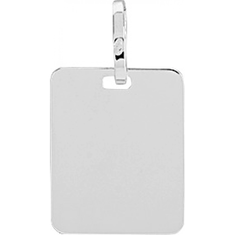 Colgante Placa 18Kt Oro Blanco 3094L Lua blanca