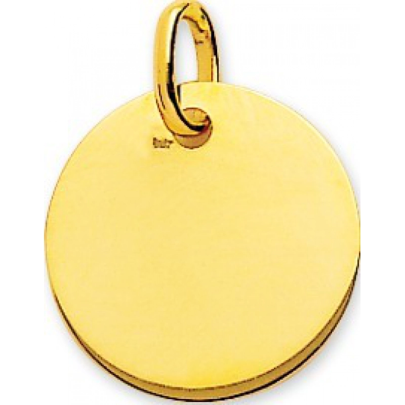 Colgante placa redonda 9Kt Oro Amarillo 783422 Lua blanca