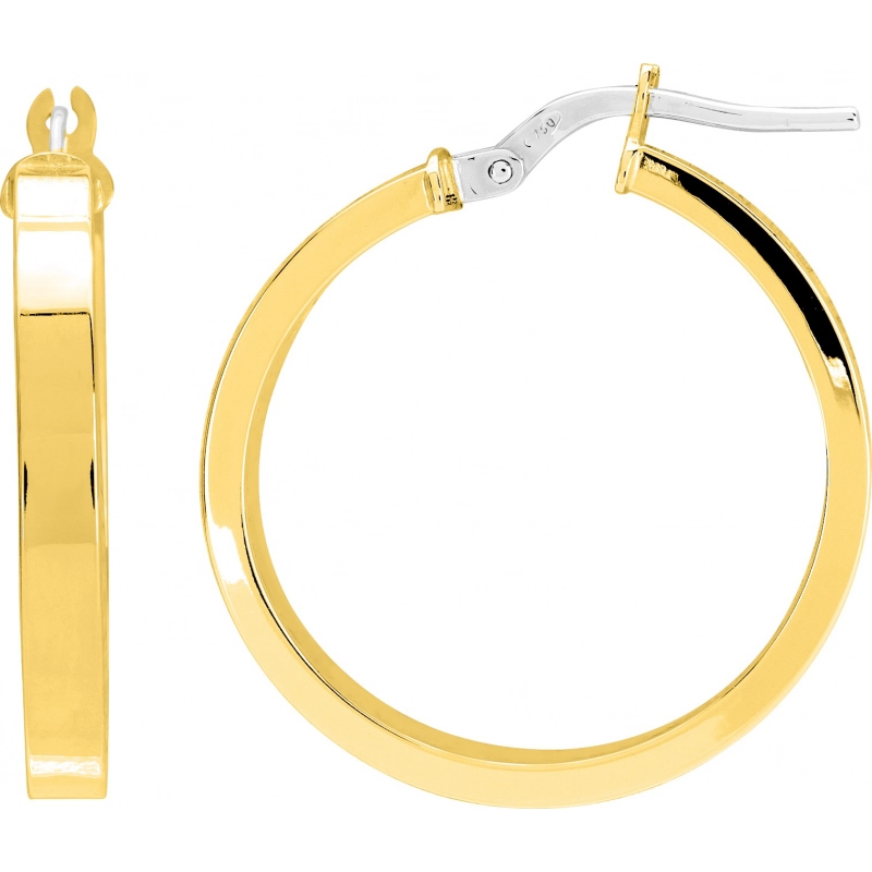 Pendientes de aro medio par 18Kt Oro Amarillo 3894.9B