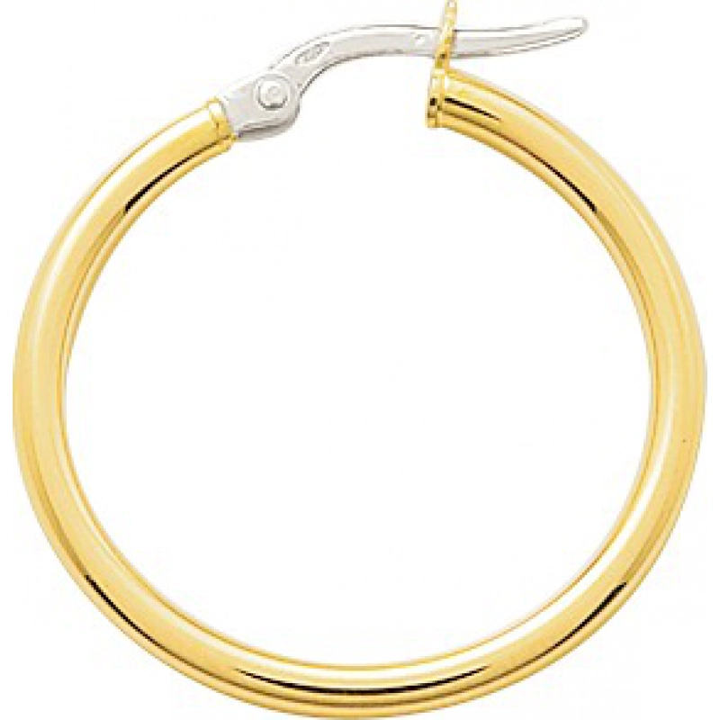 Pendientes de aro par 18Kt Oro Amarillo 3769.0 Lua blanca