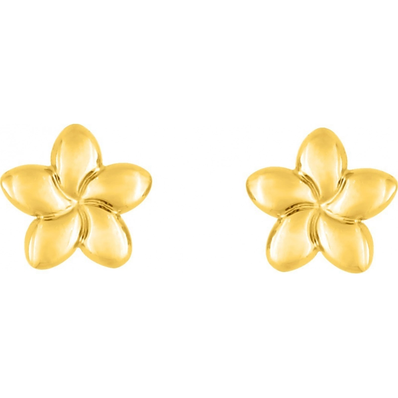 Pendientes par 9Kt Oro Amarillo 0M1938