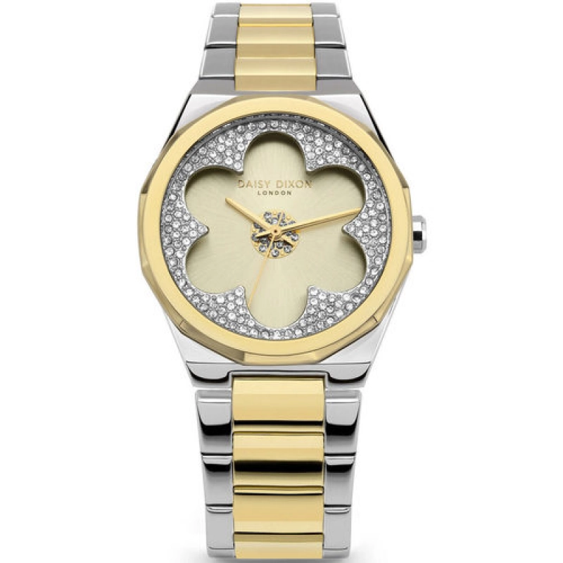 RELOJ ANALOGICO DE MUJER DAISY DIXON DD168SGM