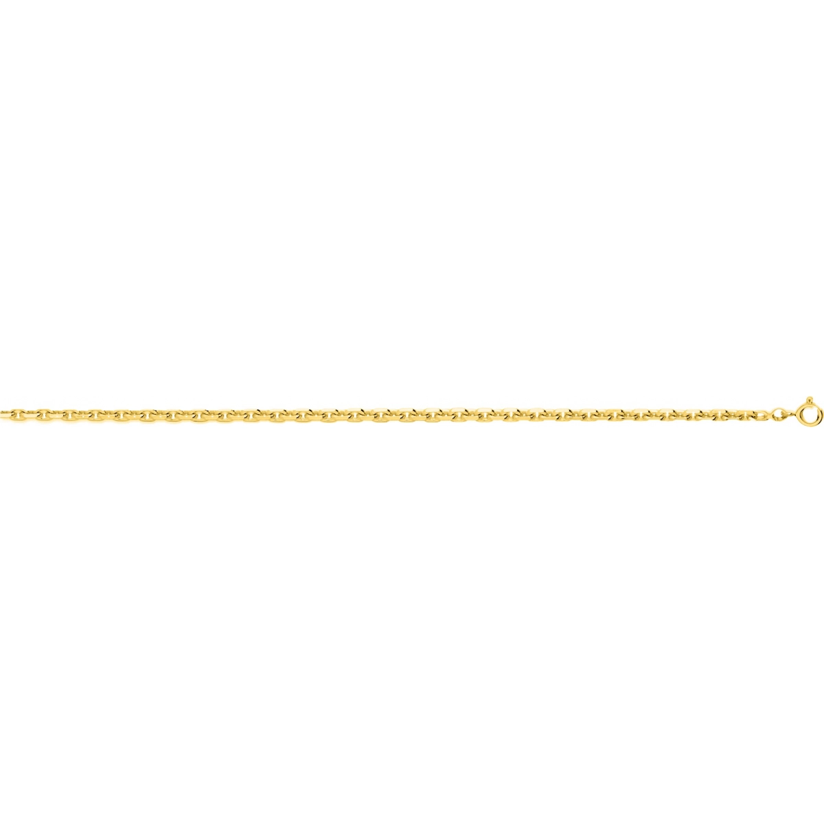 Ankle link chain gold plated Brass - Size: 50  Lua Blanca  101204C.50